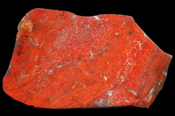Polished, Red (Chestnut) Jasper Slab - Madagascar #129882
